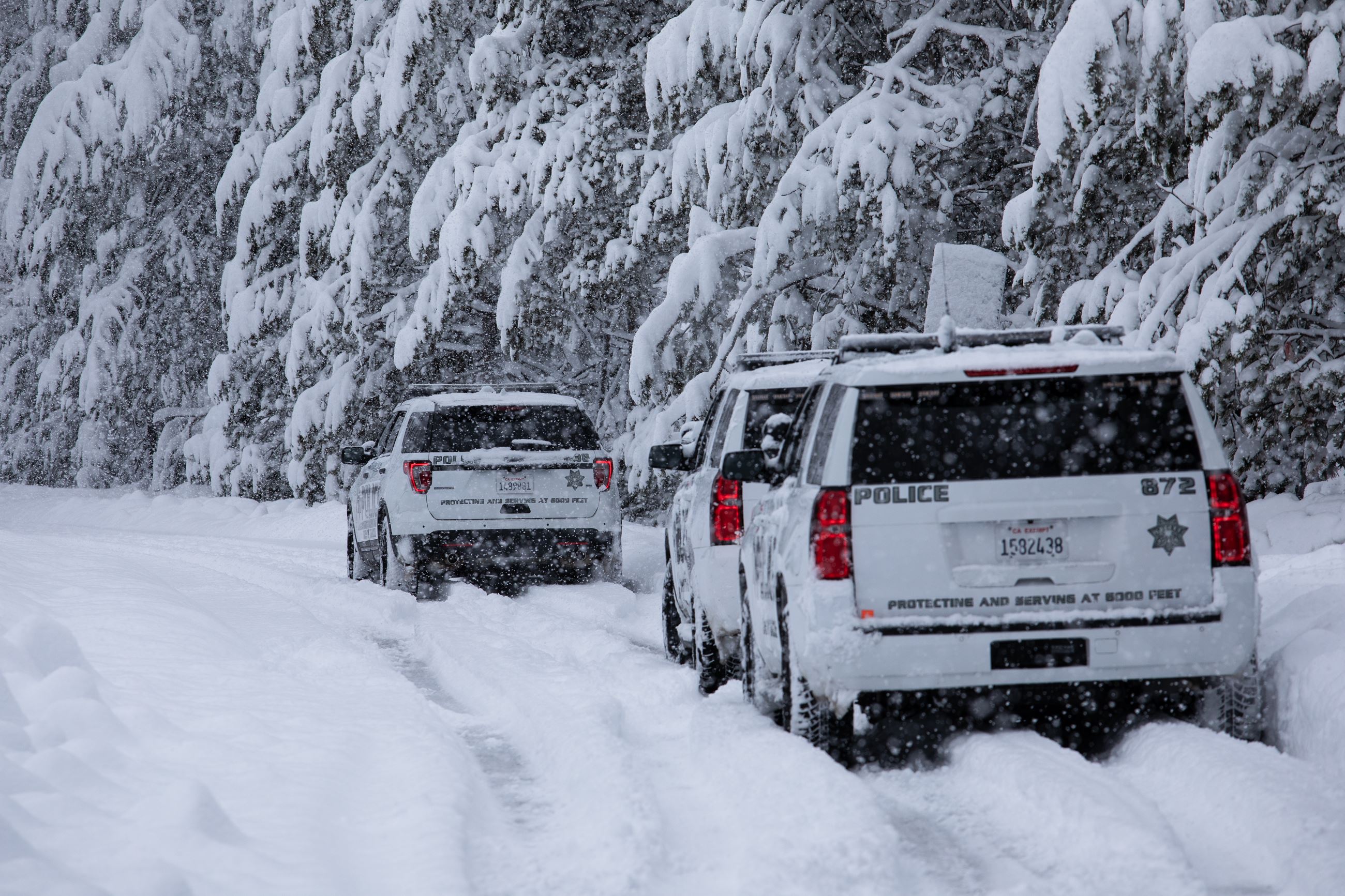 A view of three Truckee Police cars parked in deep snow with more falling from the sky. 