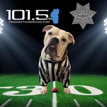 Bull dog dressed as a referee in the middle of a football field with 1015FM and Truckee PD logos. 