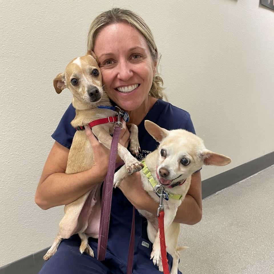 Women kneeling and holding two small dogs. 